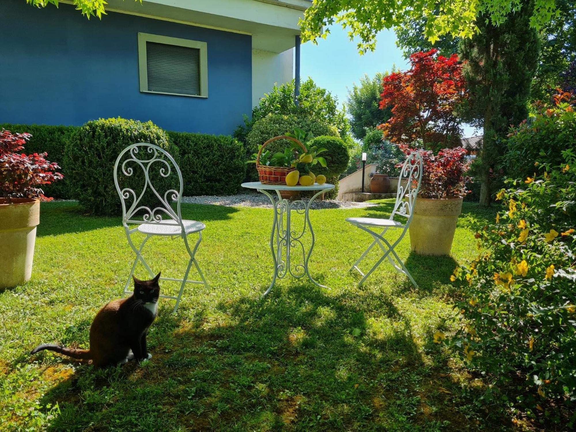 Villa Lanni กัสซีโน ภายนอก รูปภาพ